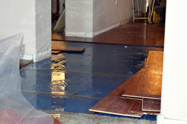 Professional Burst Pipe Cleanup technician working in Kyle, TX